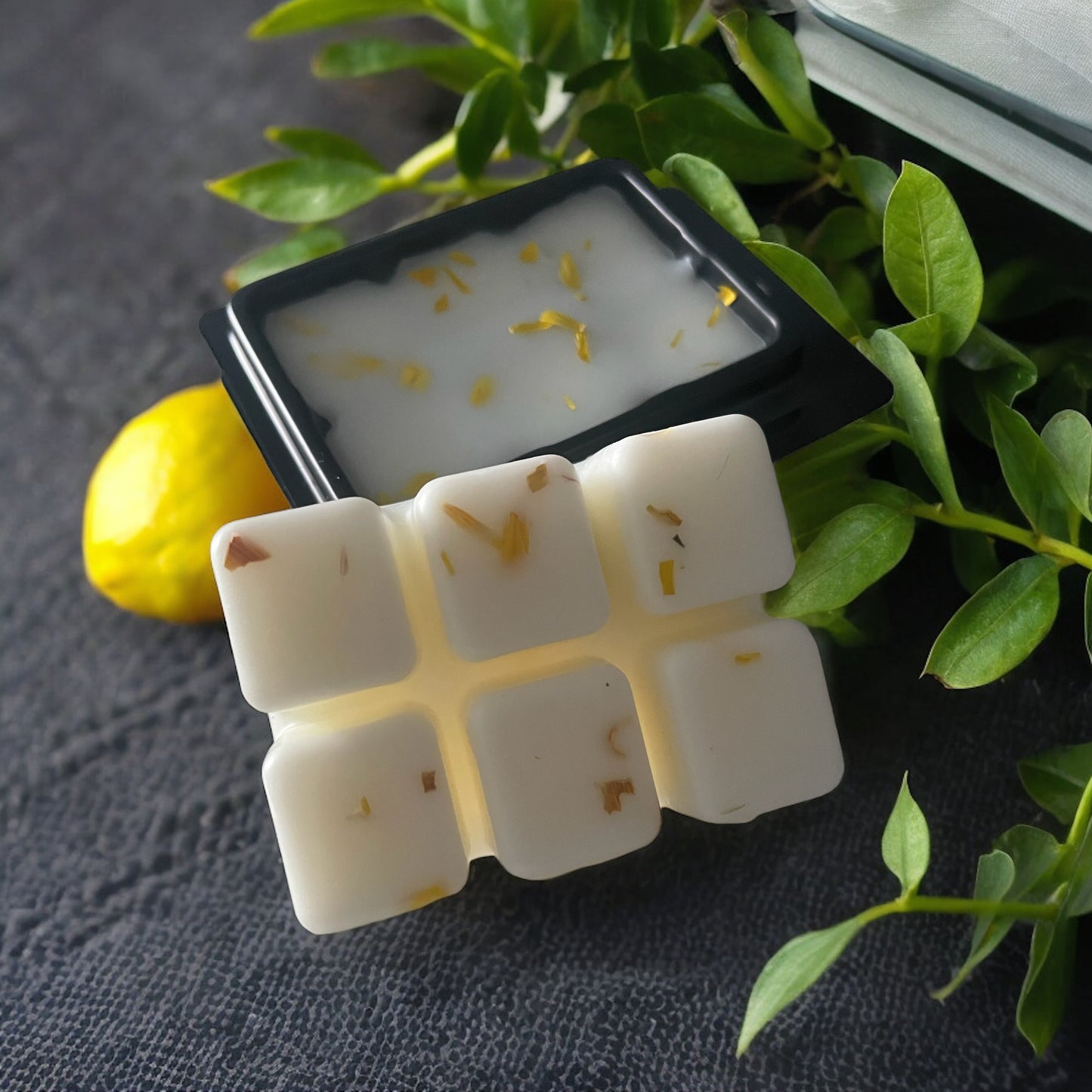 Lemon Verbena + Thyme Wax Melt